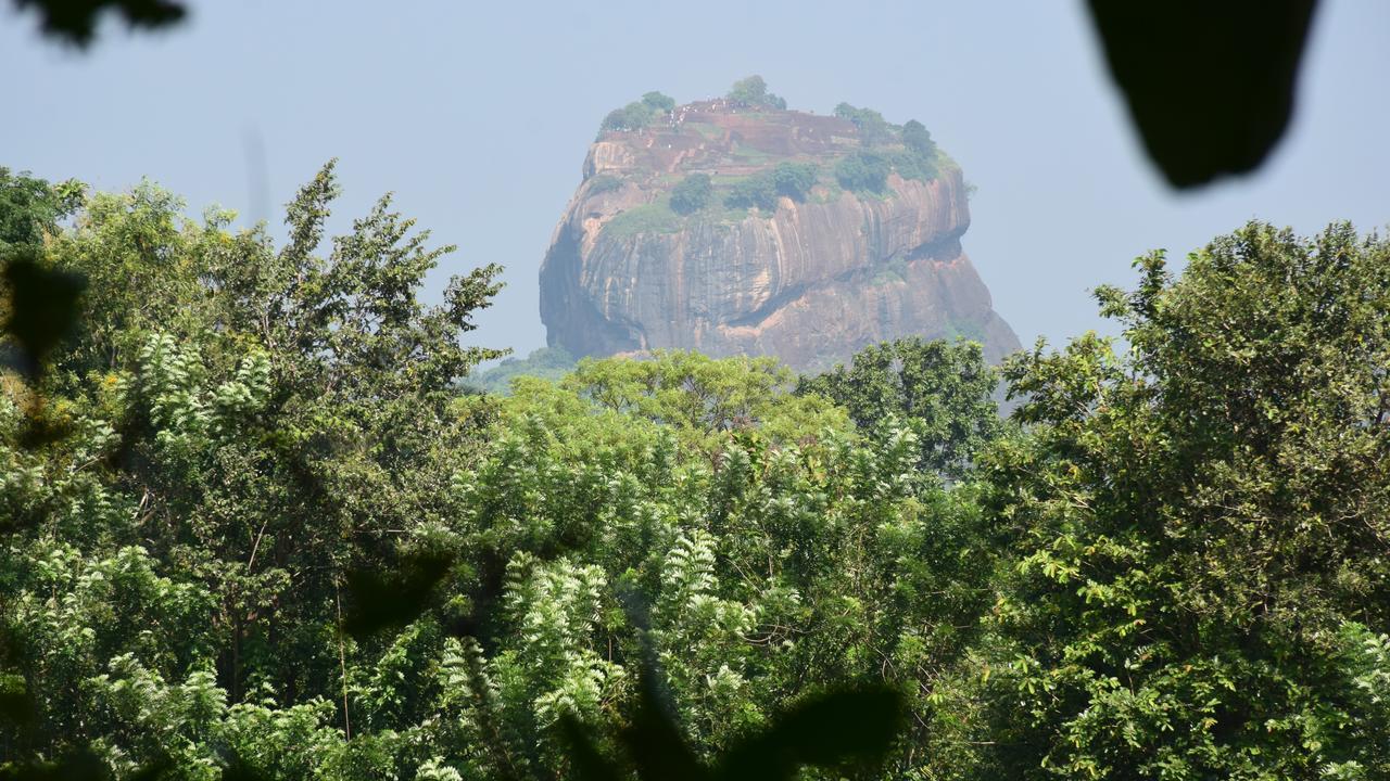 Willa Sigiri Sarilco Rock View Treehouse Sigirija Zewnętrze zdjęcie